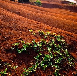 《魔法门 : 英雄交锋》7月20日发售 试玩版即将上线