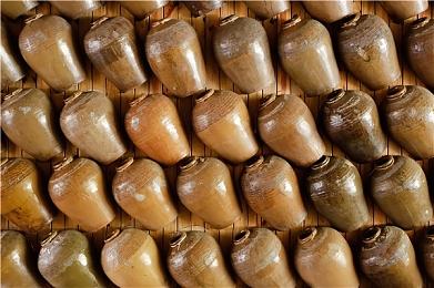 《刺客信条：影》包含700段过场动画 让玩家反省自己